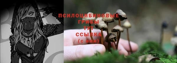прущая мука Козловка