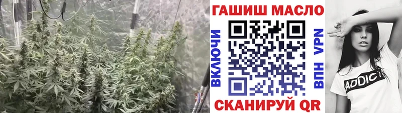 MEGA маркетплейс  даркнет официальный сайт  ТГК Wax  что такое наркотик  Михайловка 