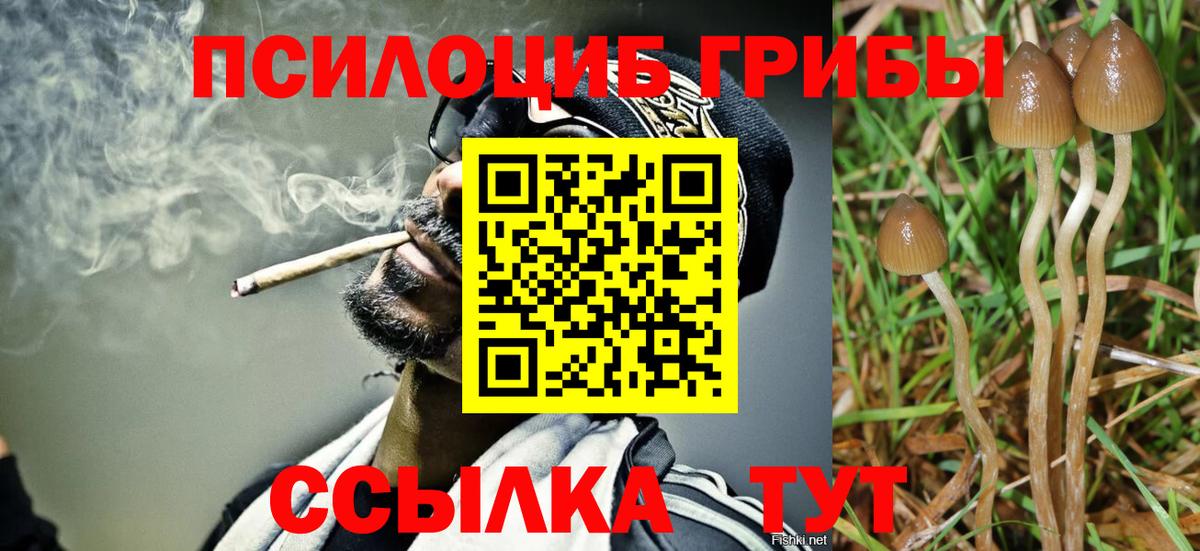 Псилоцибиновые грибы прущие грибы  Галлюциногенные грибы MAGIC MUSHROOMS  Вход с VPN  Михайловка 
